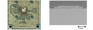 イオンセンサー用途バイオメディカルLSIの外観と断面SEM像