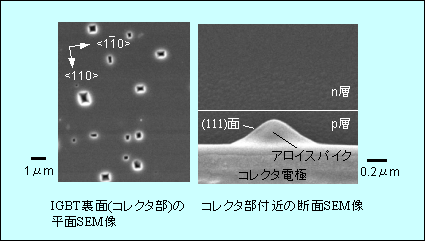 IGBT裏面コレクタ部の観察