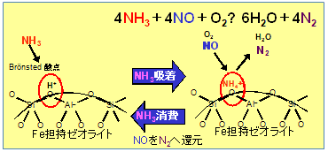 ゼオライトを用いたNH3によるNOxの選択触媒還元(SCR：Selective Catalytic Reduction)について調べた例