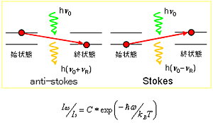 Stokes、anti-Stokesラマン線強度比