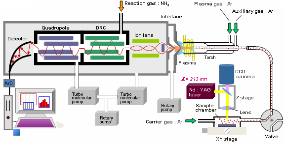 Fig. 1 LA-ICP-MSの装置構成