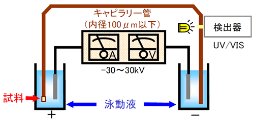 Fig.1 キャピラリー電気泳動法の模式図