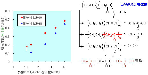 VAc含有量-吸光度比の結果　（増加したC=O基[1716cm-1]）