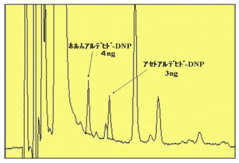 燃焼生成ガスのアルデヒド類分析例