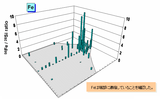 Fig. 3　シリコン中のFeの分布測定結果