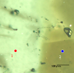 (a)　Optical microscope image