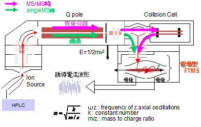 Q-FT型LC/MS/MS装置構成図