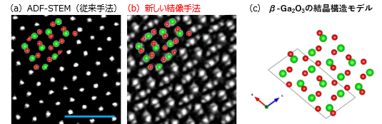 図2.　 [010]方向から電子線を入射した際のβ-Ga2O3 の（a）ADF-STEM法による像
および（b）新結像手法による像、スケールバーは1 nm（c）β-Ga2O3 の結晶構造モデル、黄緑色丸がガリウム原子、赤色丸が酸素原子